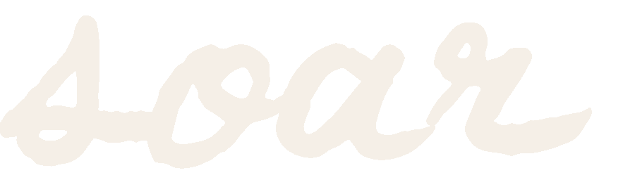 SOAR program logo