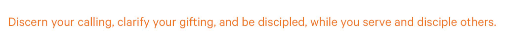 Discern and Serve