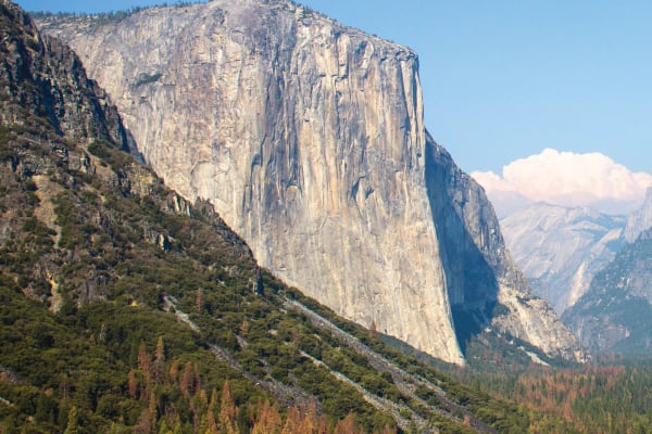 Editorial: Think Differently