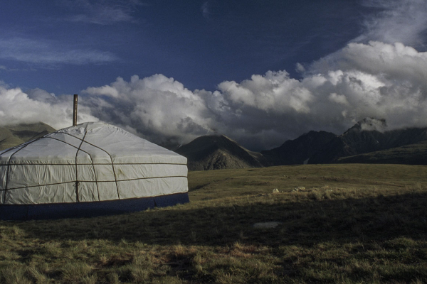 The Fruit of Unfailing Love