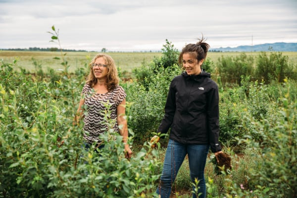 Trees of Life Center East Asia