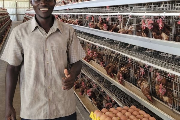 King's Kid Poultry Project