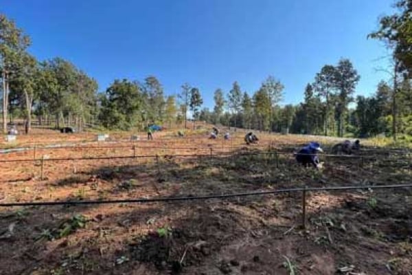 Partnering for Blessing