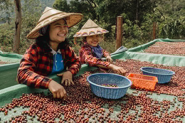 Vision trip: <br>Coffee Social enterprise in Myanmar & Laos