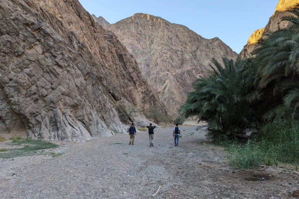 Middle East & North Africa