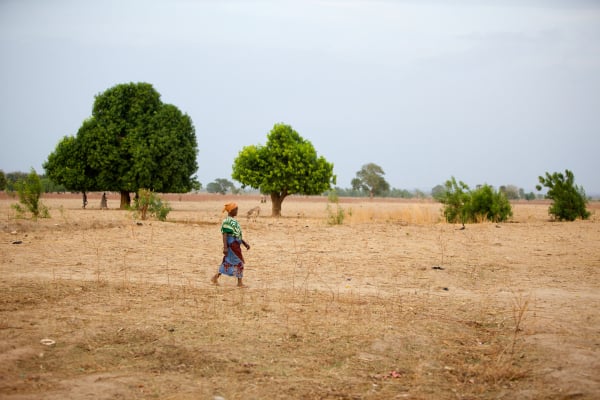 My Tigrayan Homeland