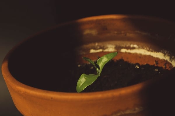 Multiplication in the Middle East