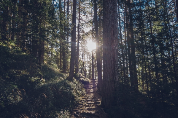 New Church Born in Crisis